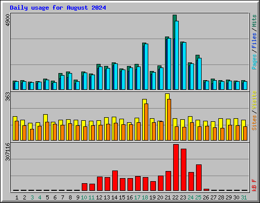 Daily usage for August 2024