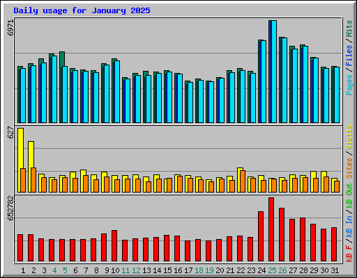 Daily usage for January 2025