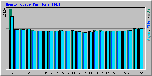 Hourly usage for June 2024