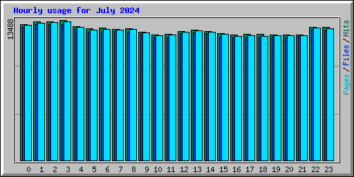 Hourly usage for July 2024