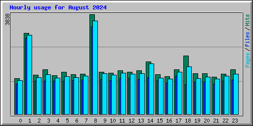 Hourly usage for August 2024
