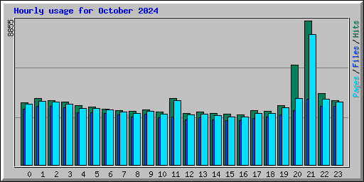 Hourly usage for October 2024