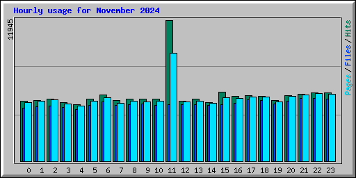 Hourly usage for November 2024