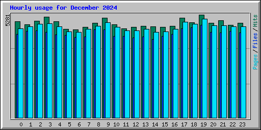 Hourly usage for December 2024