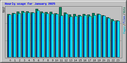 Hourly usage for January 2025