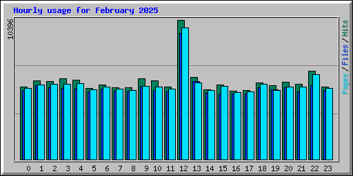 Hourly usage for February 2025