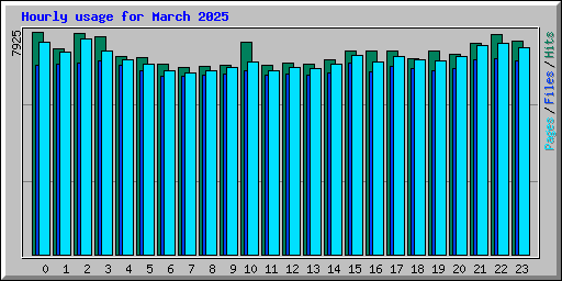 Hourly usage for March 2025