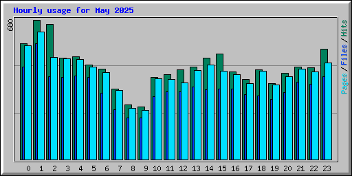 Hourly usage for May 2025