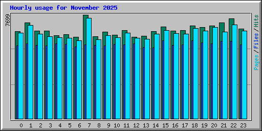 Hourly usage for November 2025