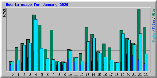 Hourly usage for January 2026