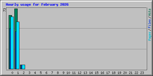 Hourly usage for February 2026